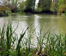 Carp Fishing in France Holiday